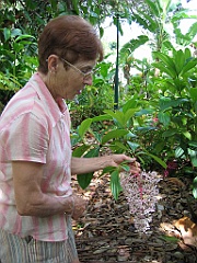 083 Cairns Botanic Gardens